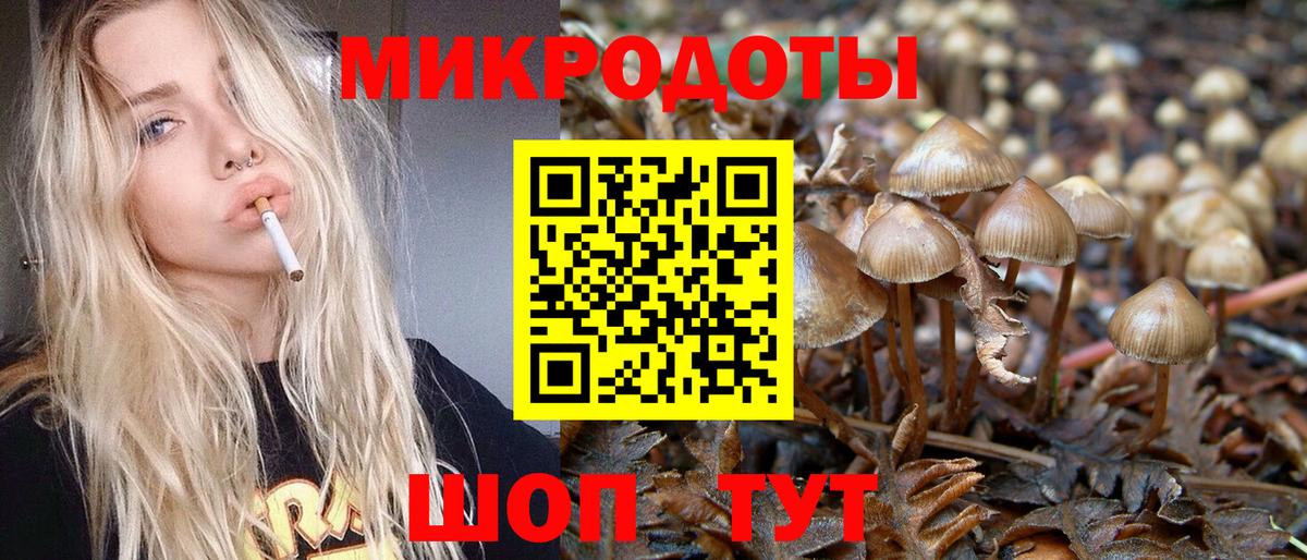 Галлюциногенные грибы мухоморы  Псилоцибиновые грибы MAGIC MUSHROOMS  закладка  Черняховск  Вход с VPN 